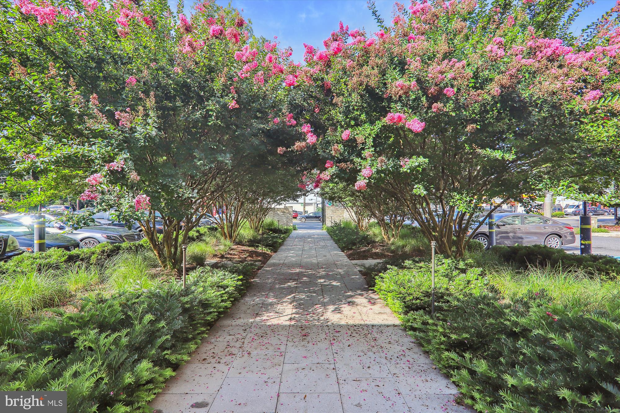 KENWOOD - Residential Lease