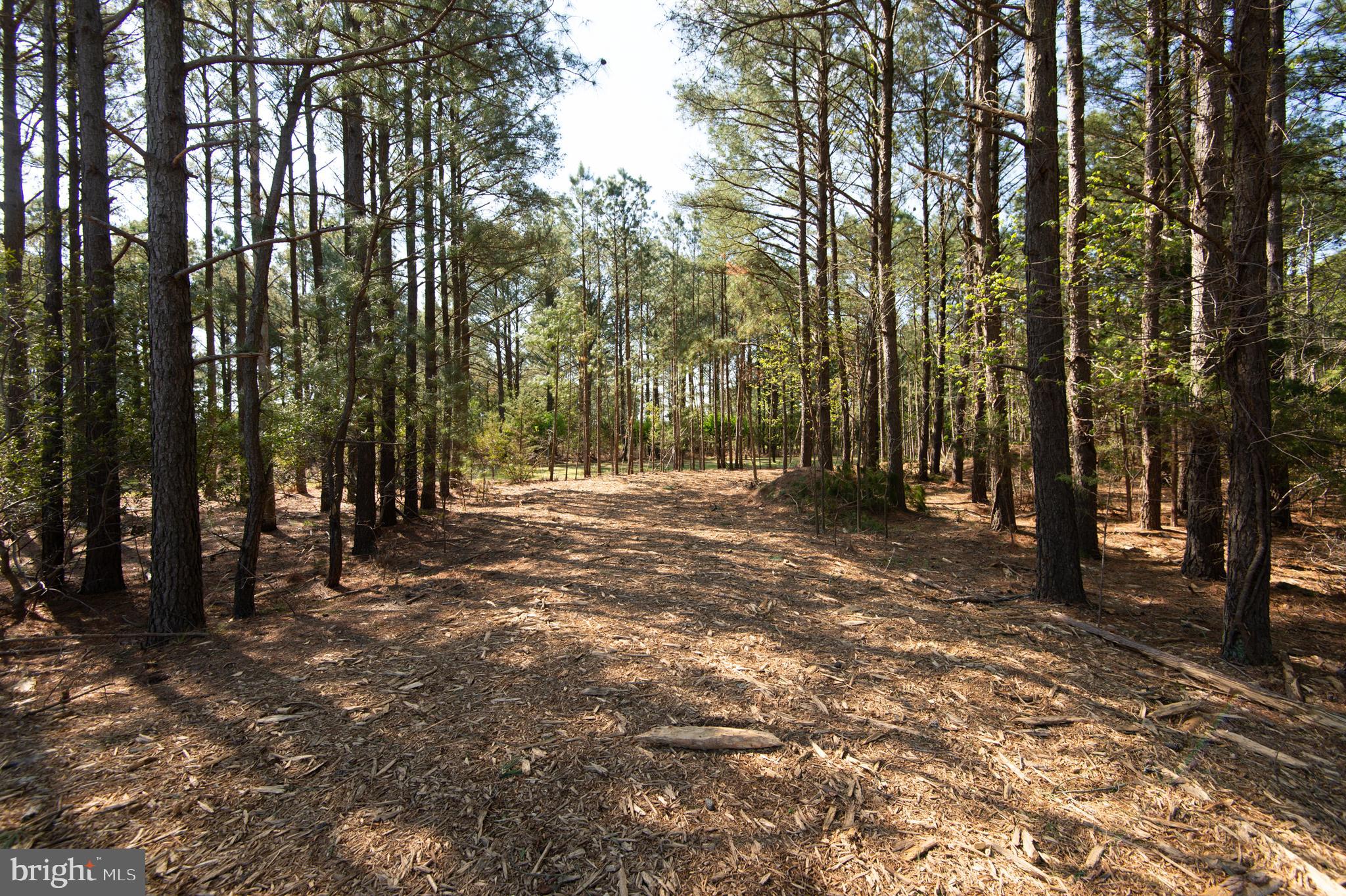 MCKEIL POINTE - Land