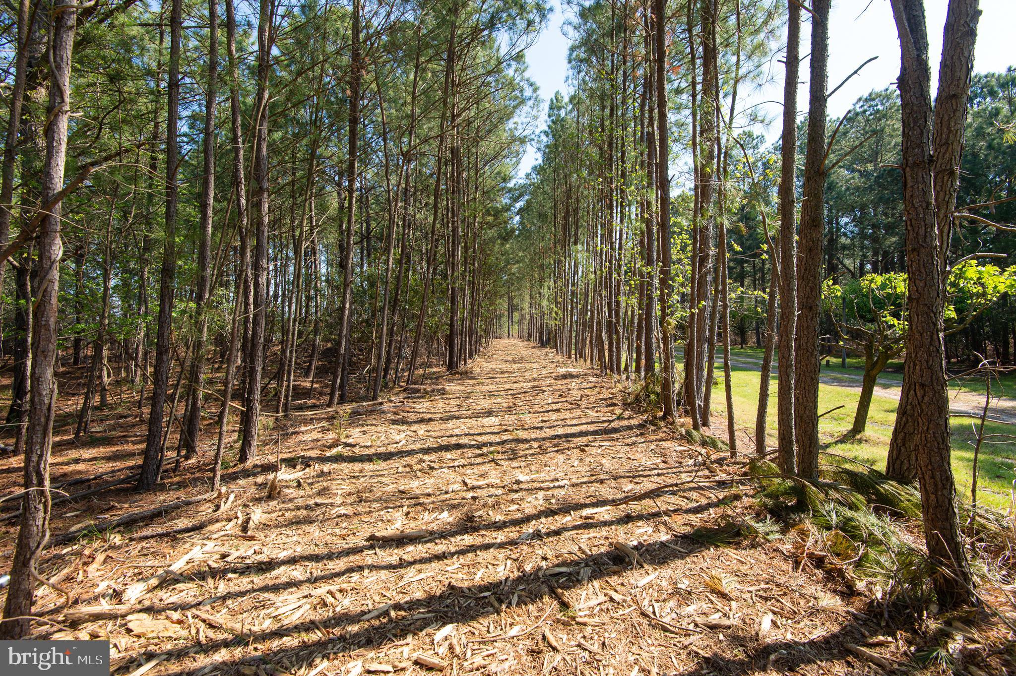 MCKEIL POINTE - Land