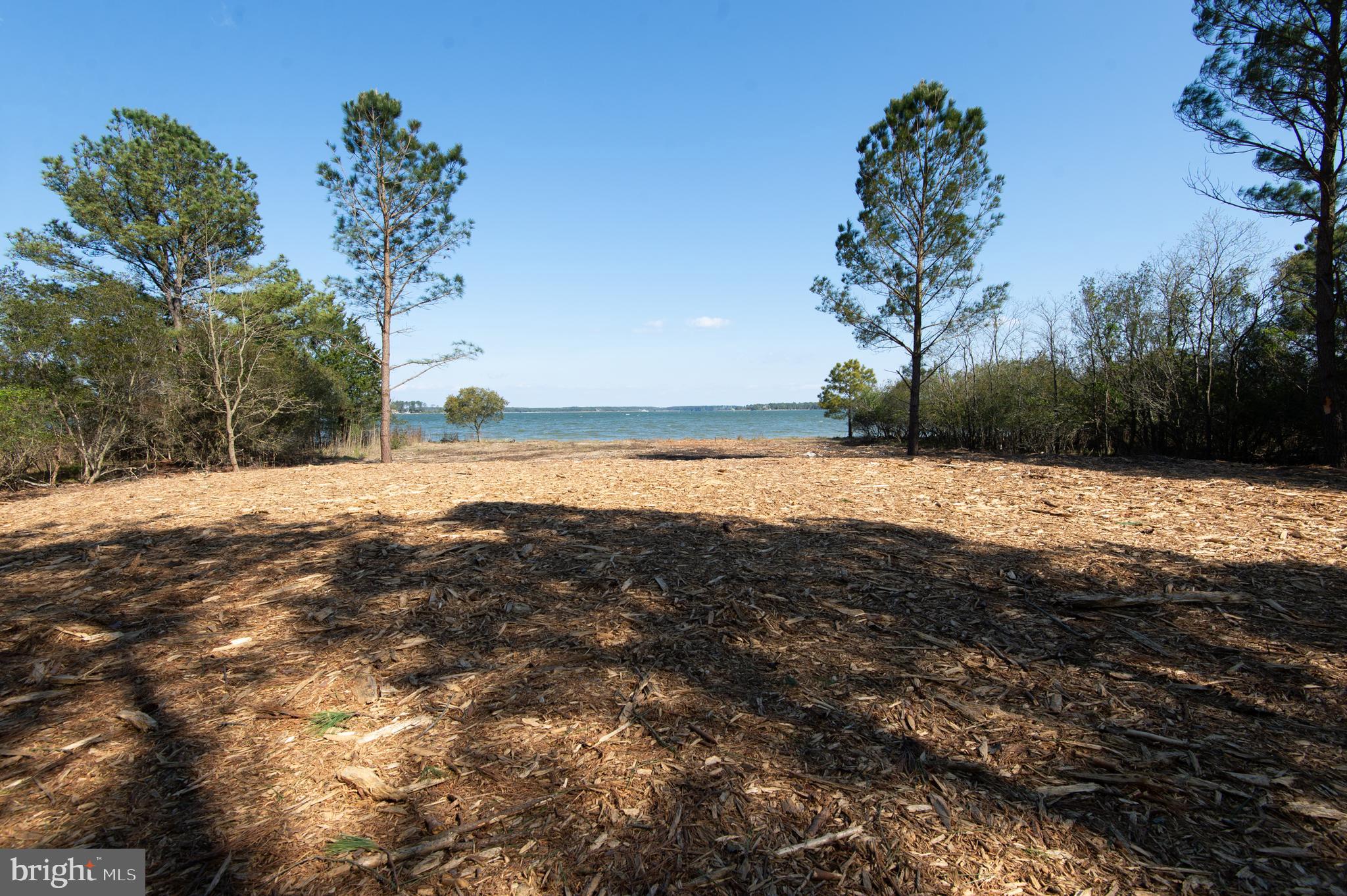 MCKEIL POINTE - Land