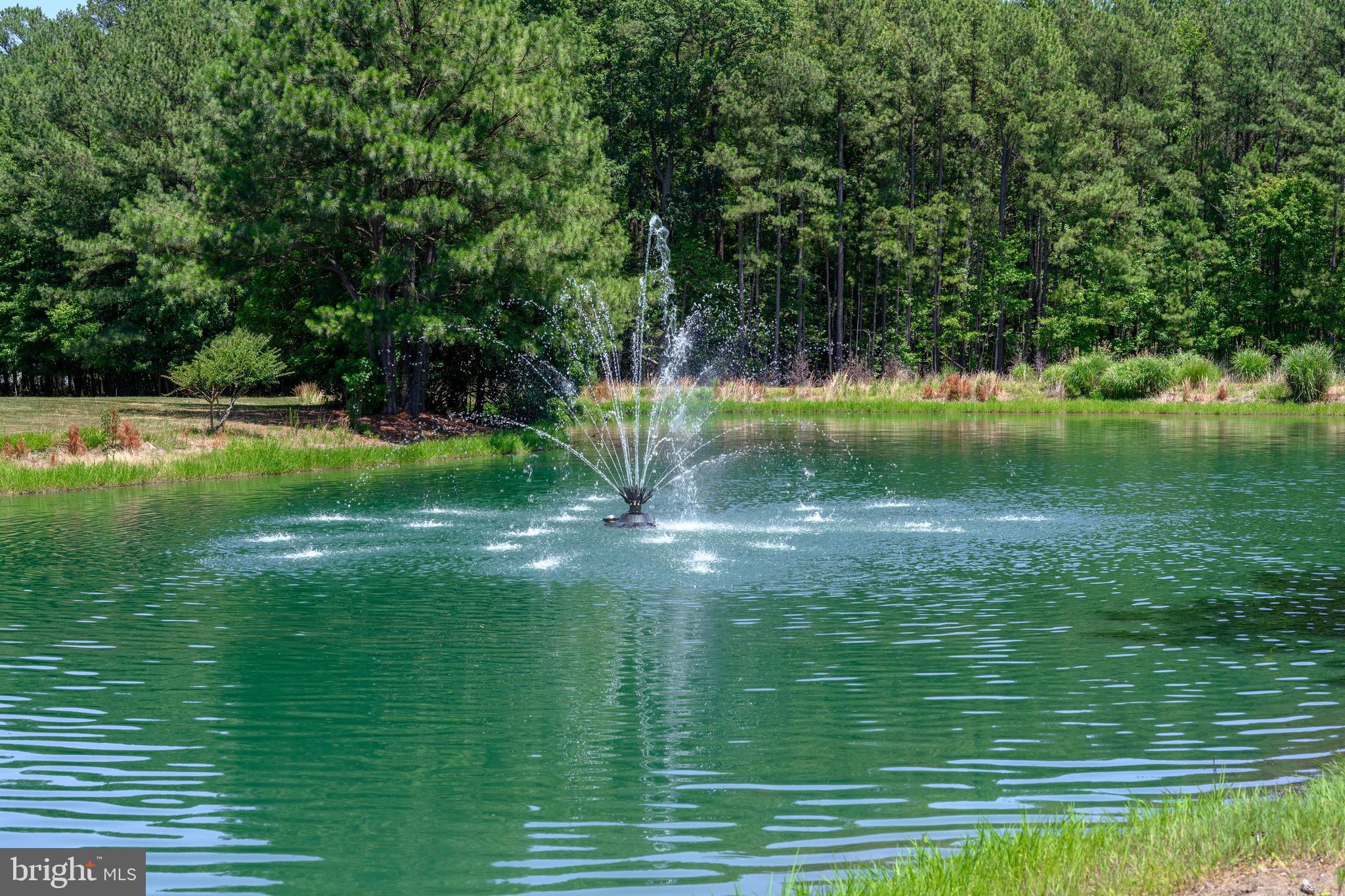 BRIDGEPOINTE - Residential
