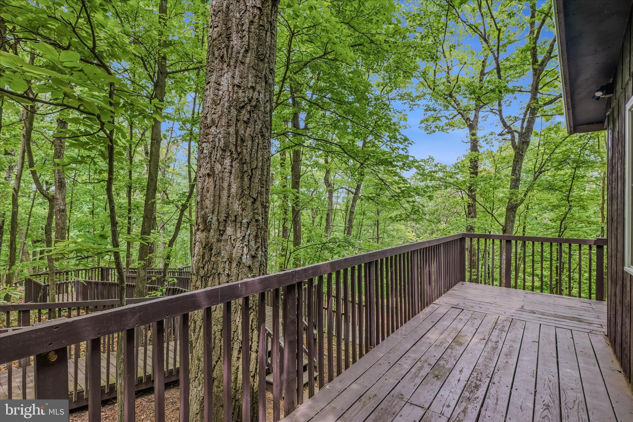 SPRUCE PINE HOLLOW - Residential