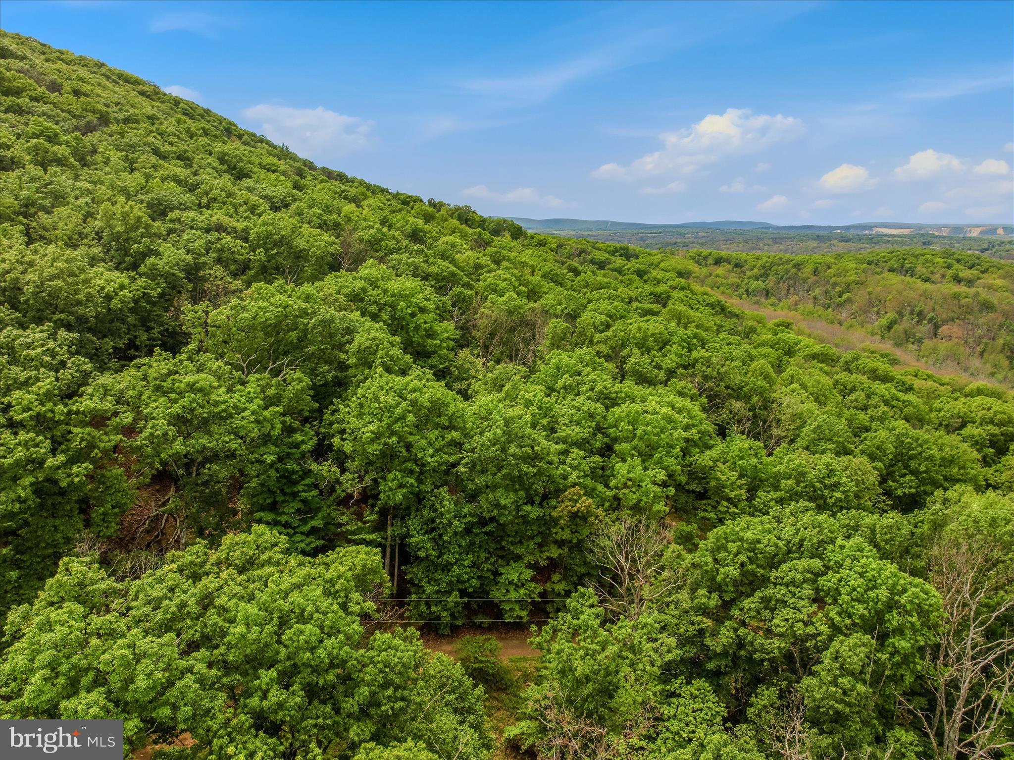SPRUCE PINE HOLLOW - Residential