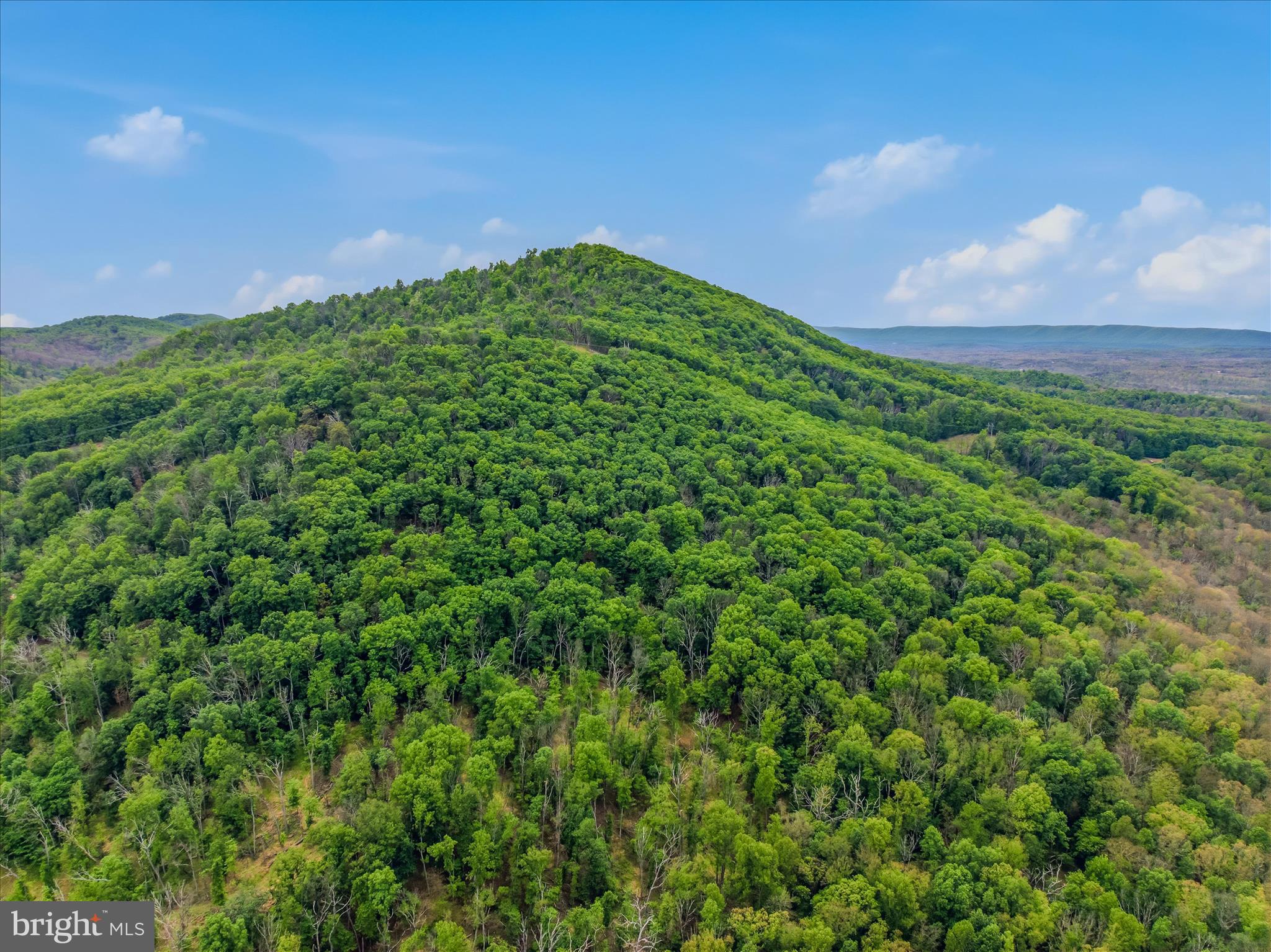 SPRUCE PINE HOLLOW - Residential