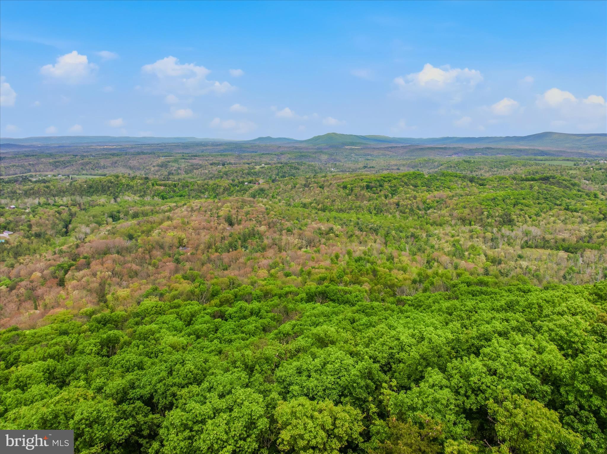 SPRUCE PINE HOLLOW - Residential