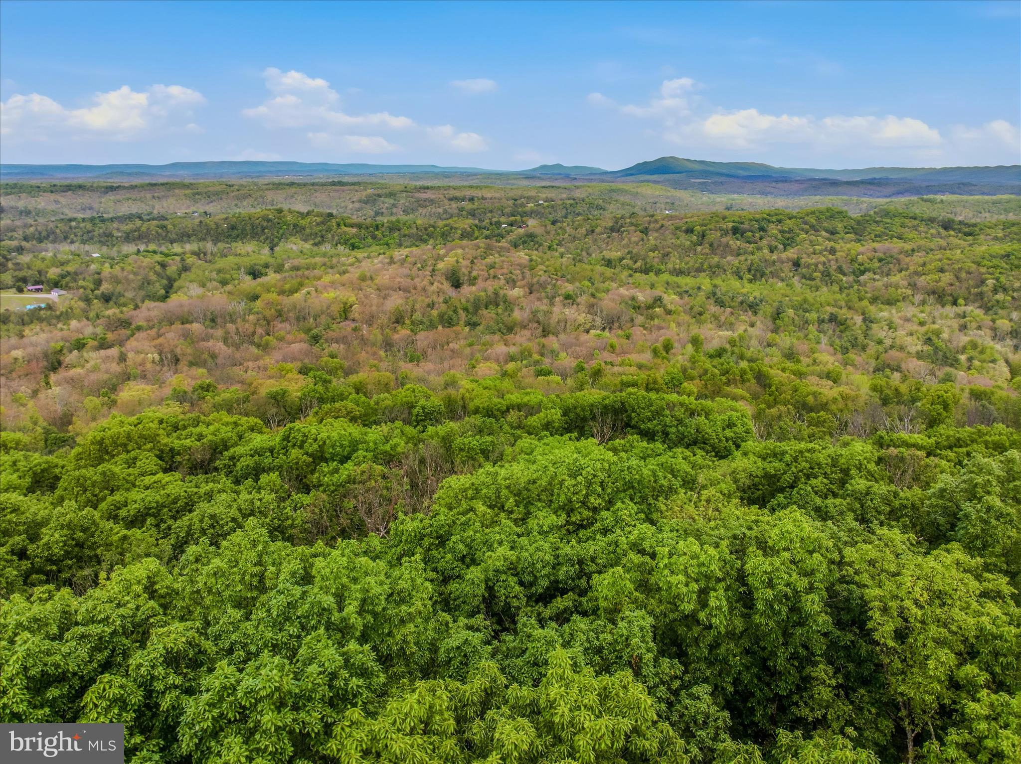 SPRUCE PINE HOLLOW - Residential