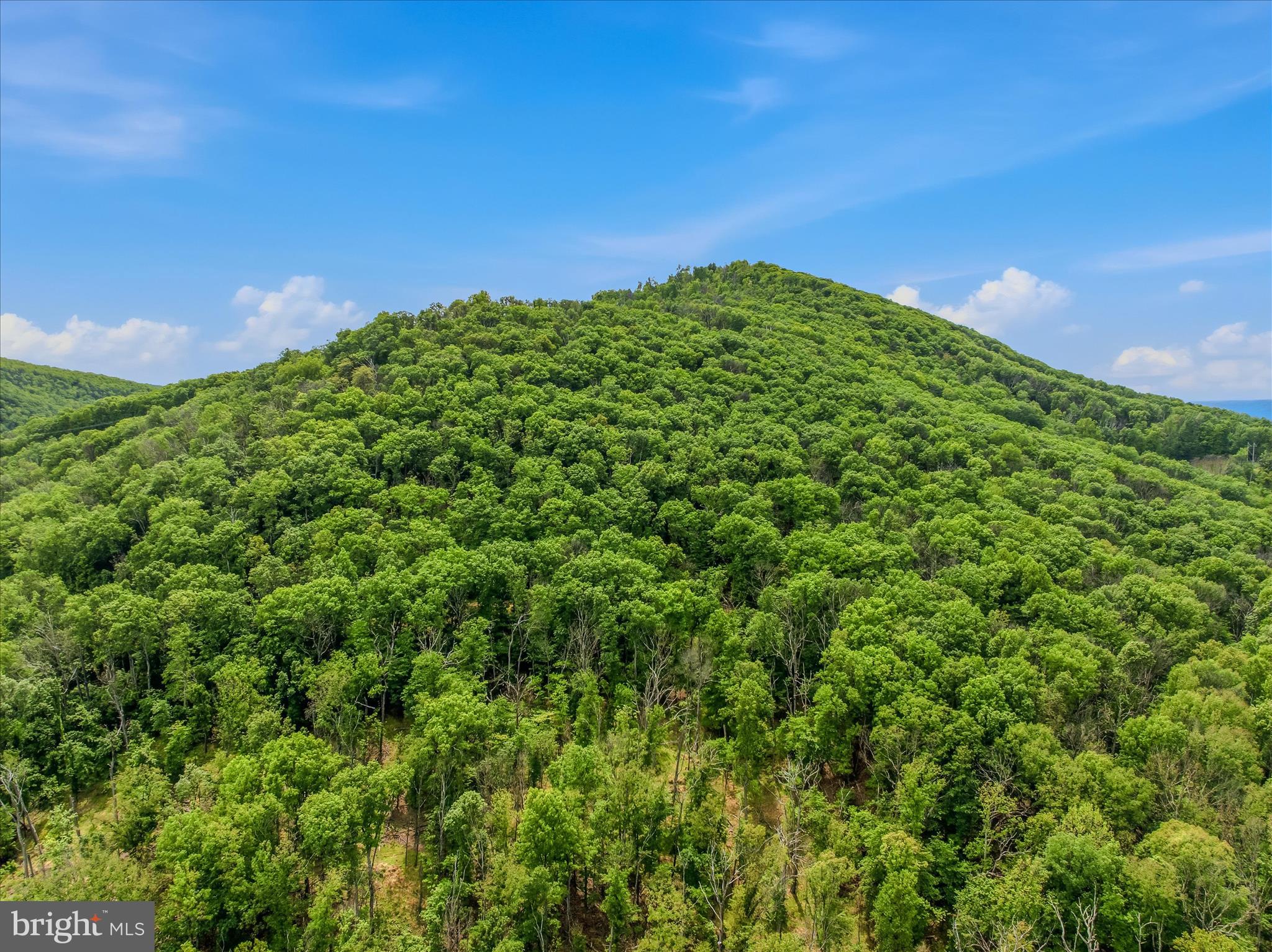 SPRUCE PINE HOLLOW - Residential