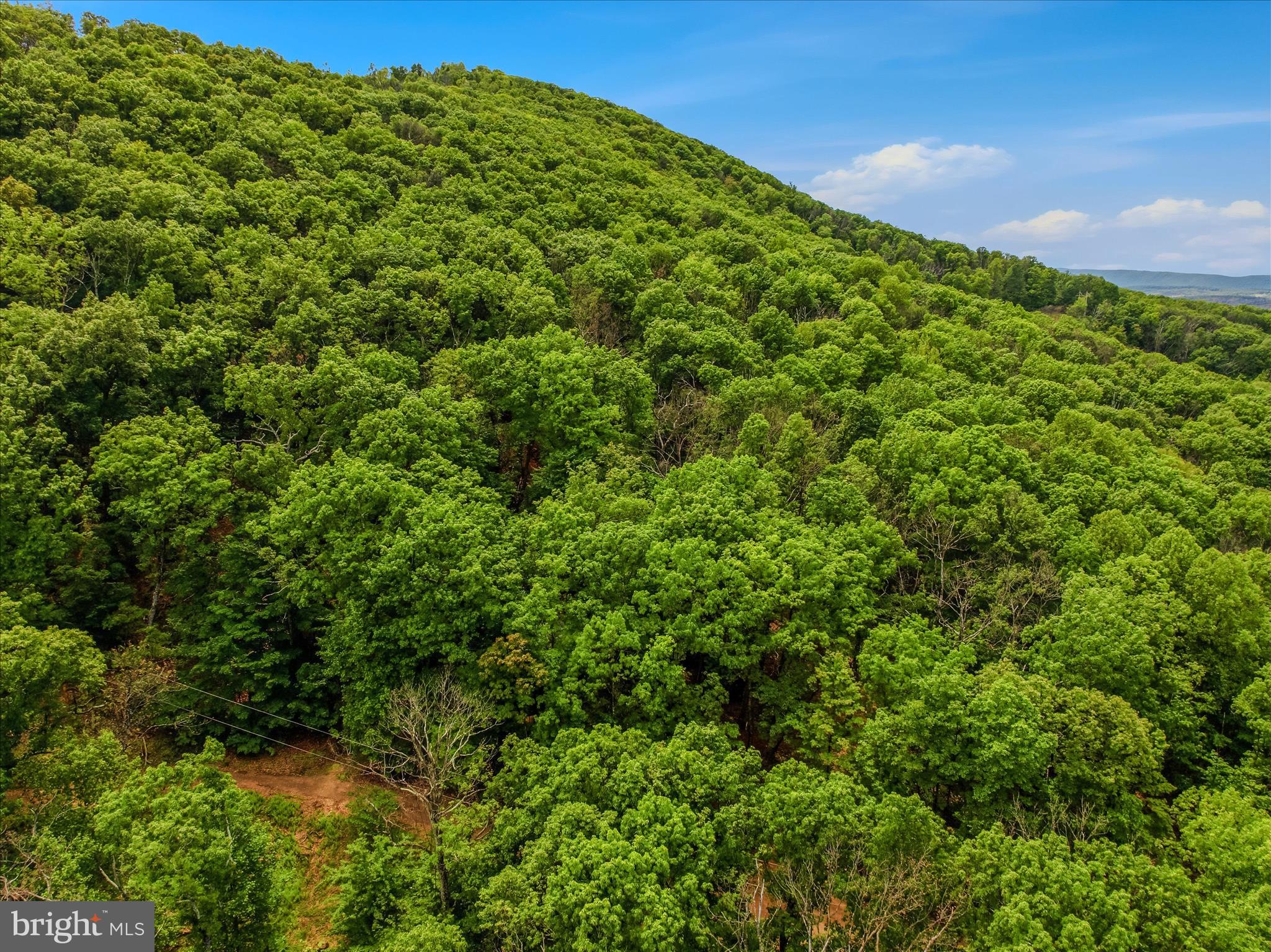 SPRUCE PINE HOLLOW - Residential