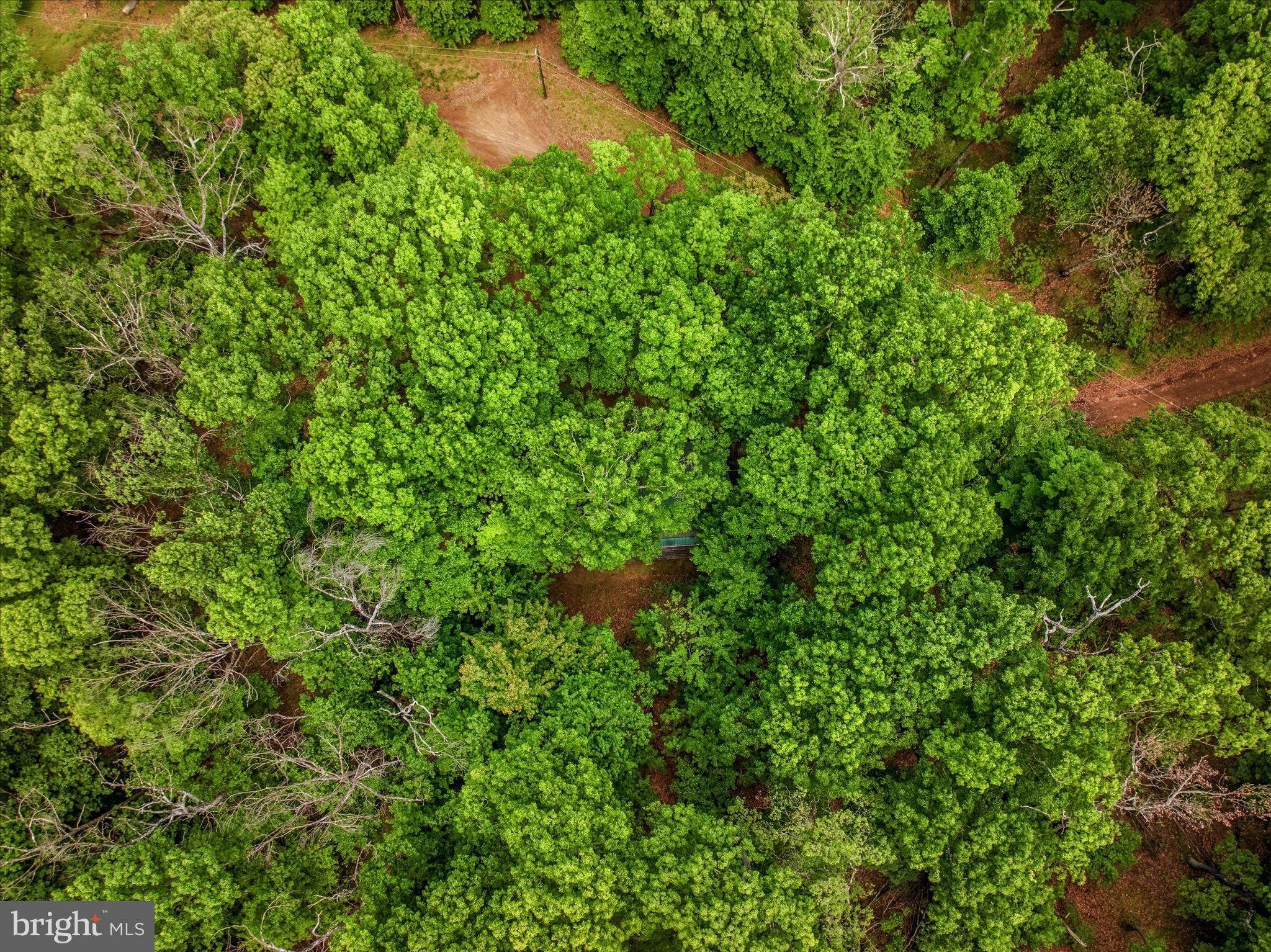 SPRUCE PINE HOLLOW - Residential