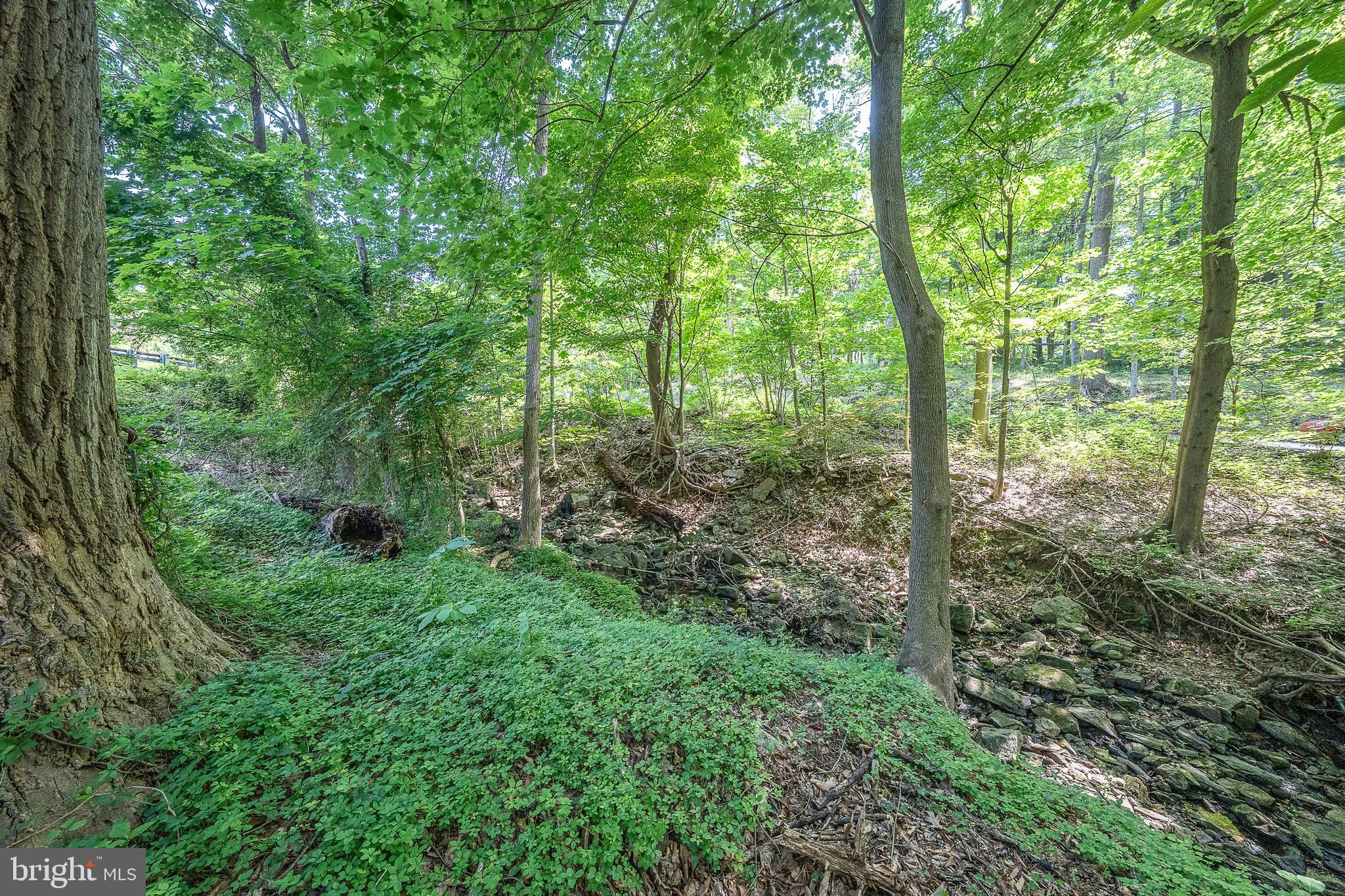 MEADOW BROOK - Residential