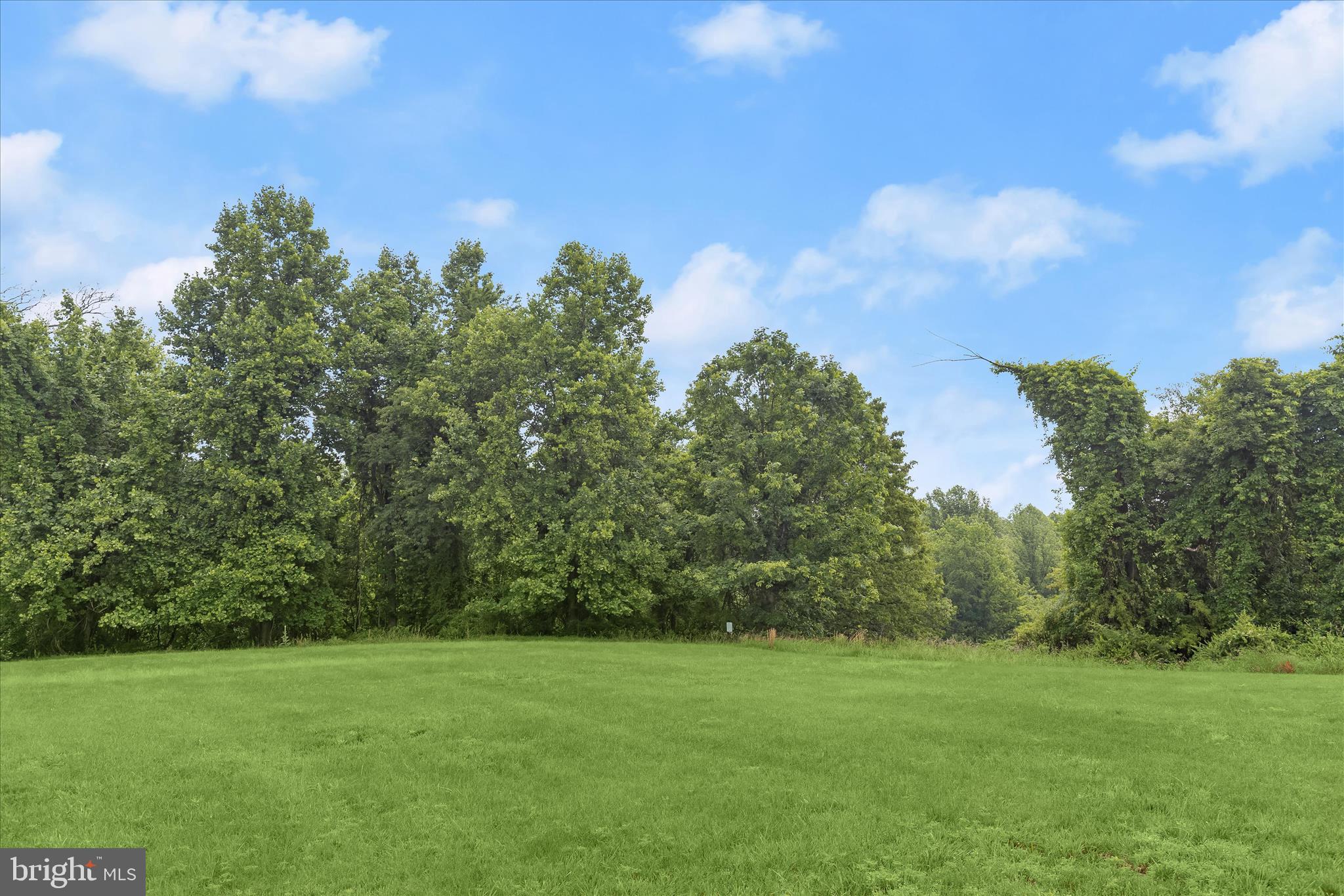 DANIEL'S MILL OVERLOOK - Residential