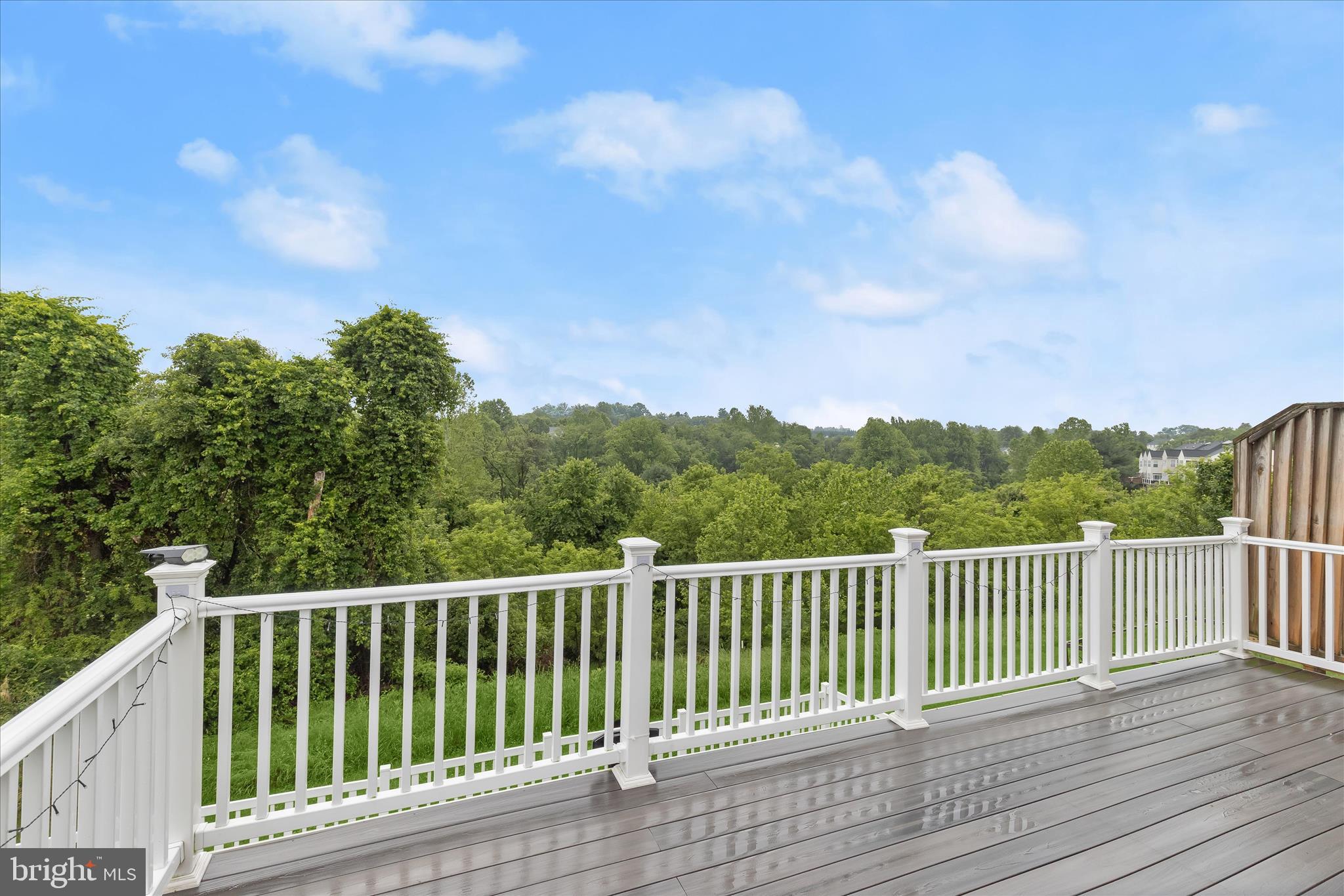 DANIEL'S MILL OVERLOOK - Residential