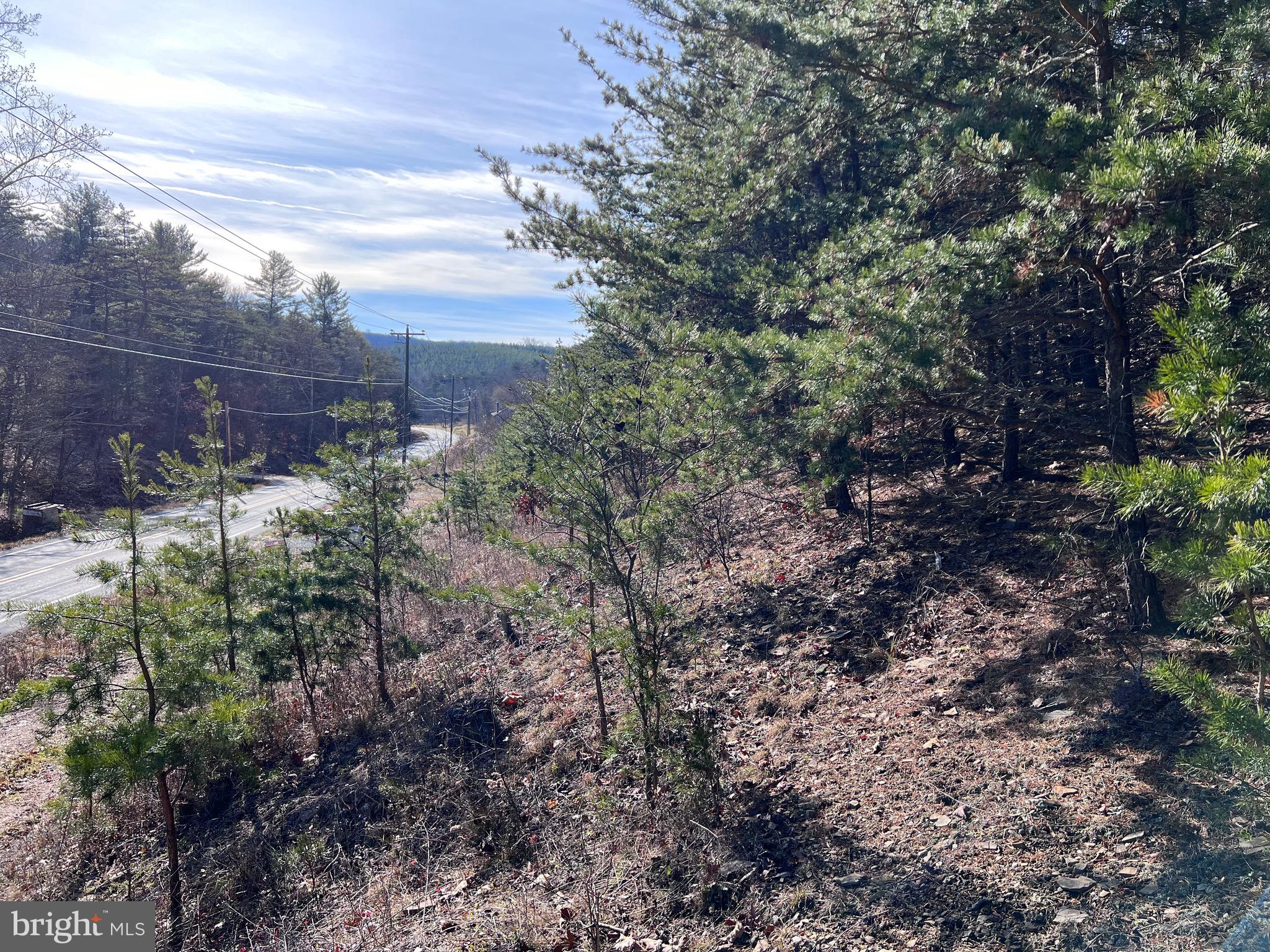 Perc Test Approved!    8.312 UNRESTRICTED ACRES - Located along Winchester Grade Road (413 feet frontage).   This would make a perfect spot for your new home whether permanent of weekend getaway.    Enjoy all the local shops, restaurants, Cacapon State Park where you can hike, play golf, swim/fish in the lake and so much more.