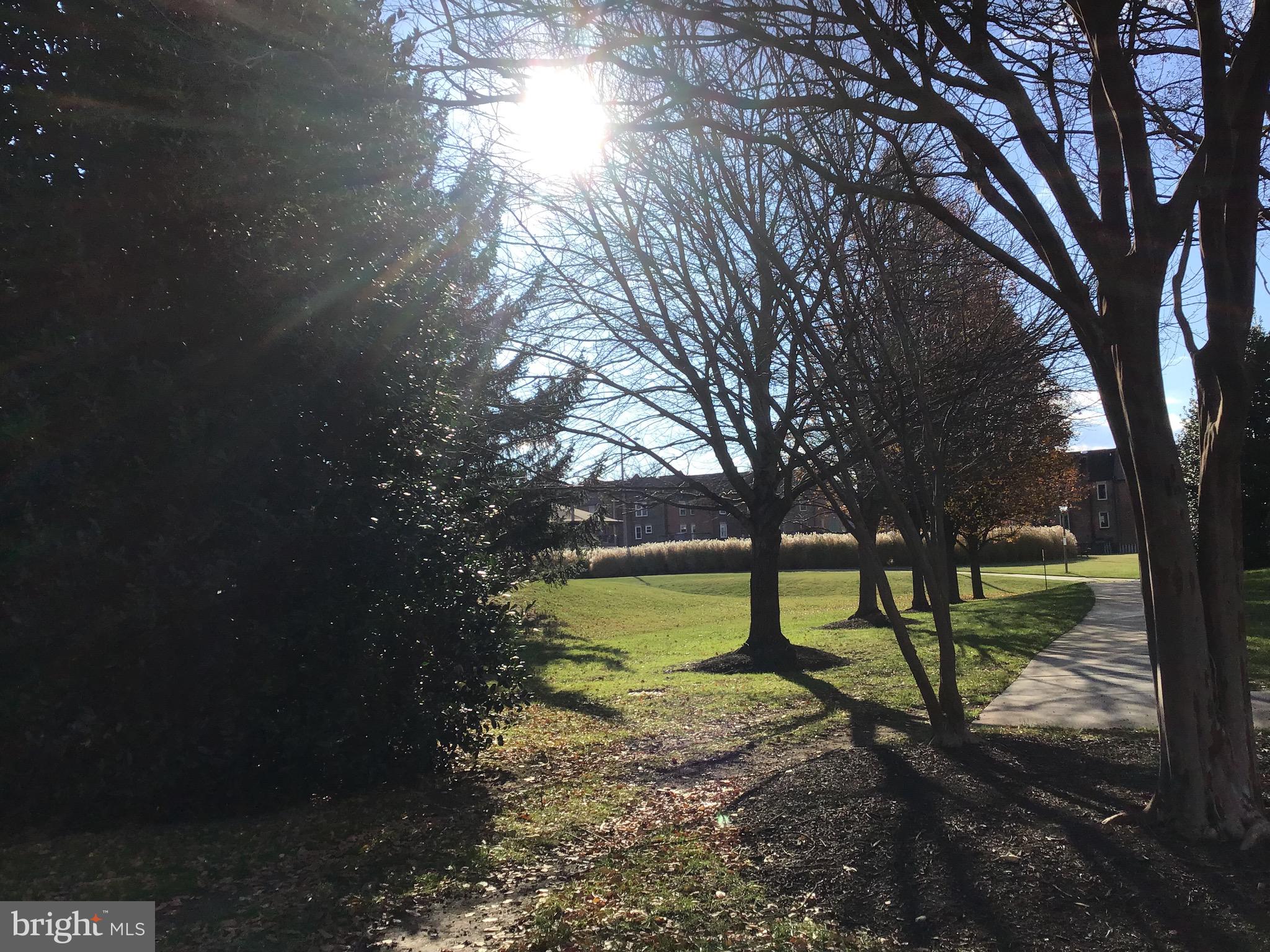 TREEBROOKE CONDOMINIUM - Residential