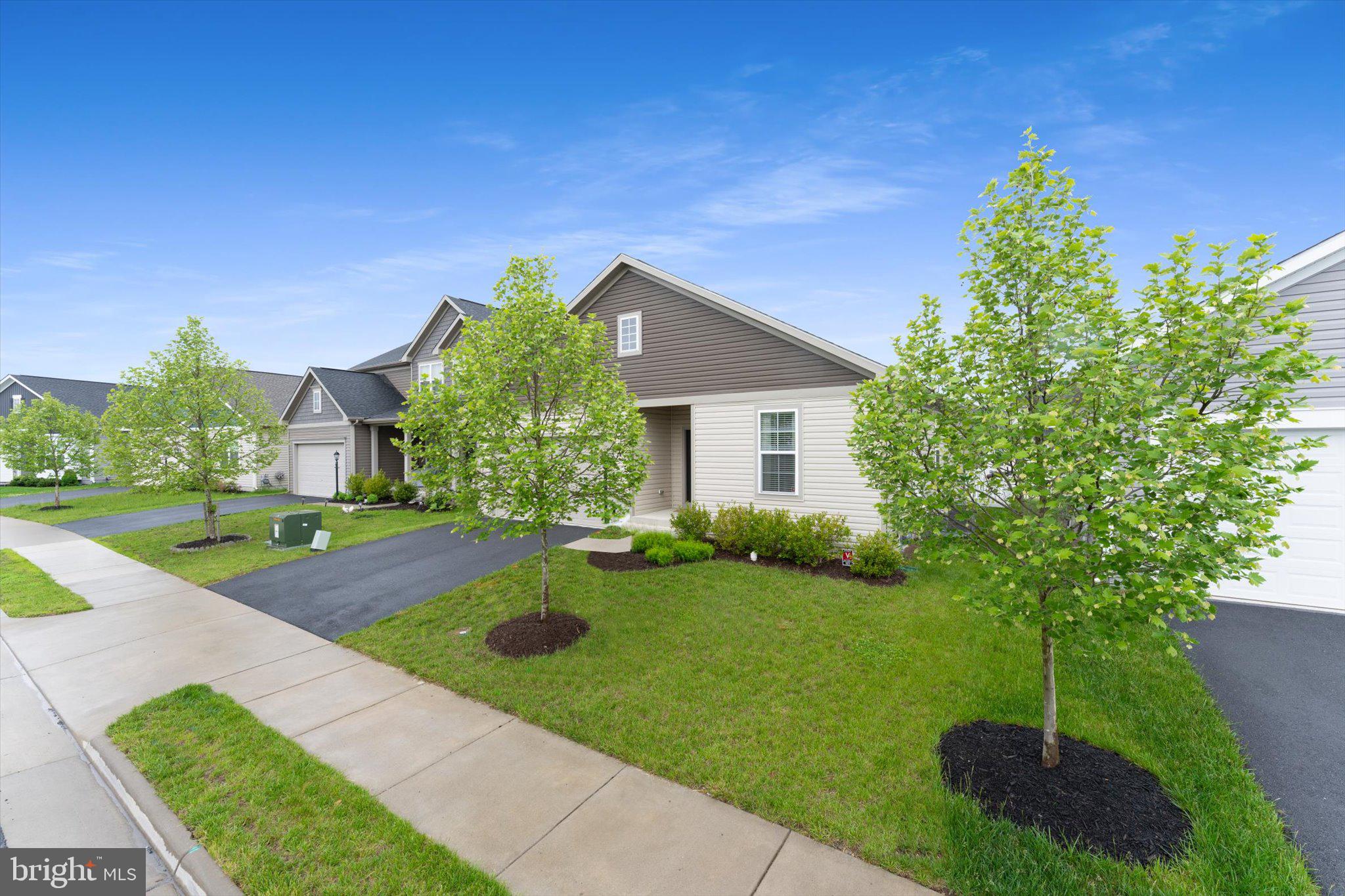 SNOWDEN BRIDGE - Residential