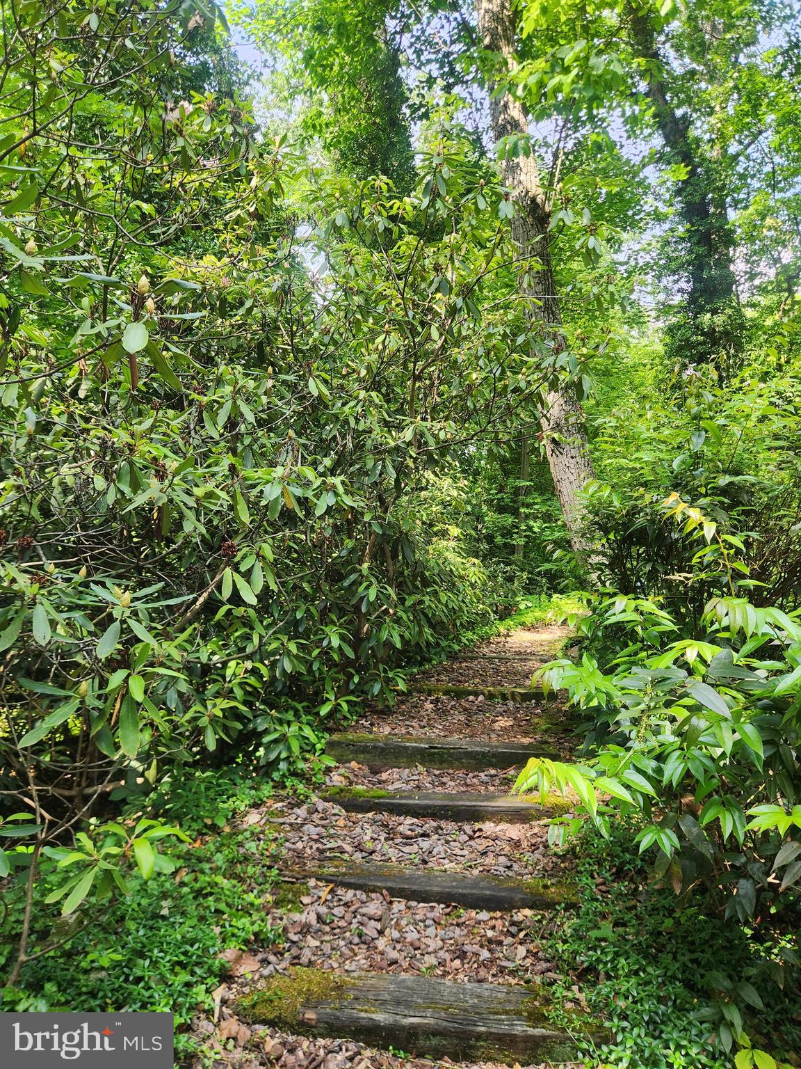 MT GRETNA-CHATUAQUA - Residential
