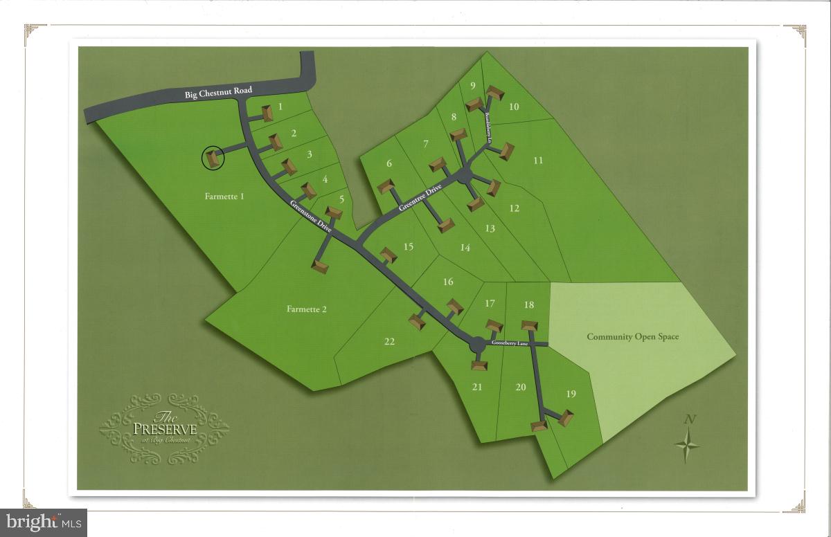 THE PRESERVE AT BIG CHESTNUT - Land
