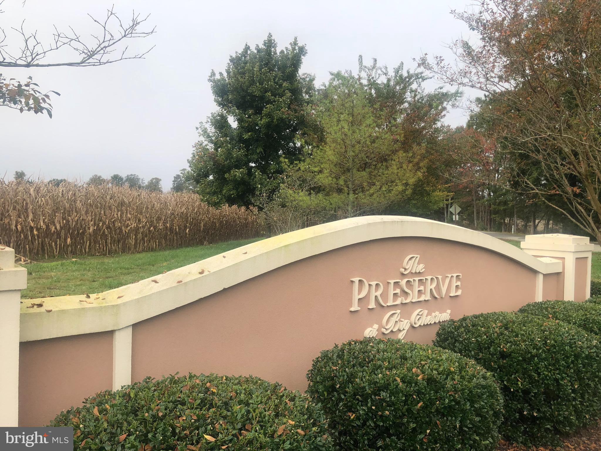 THE PRESERVE AT BIG CHESTNUT - Land