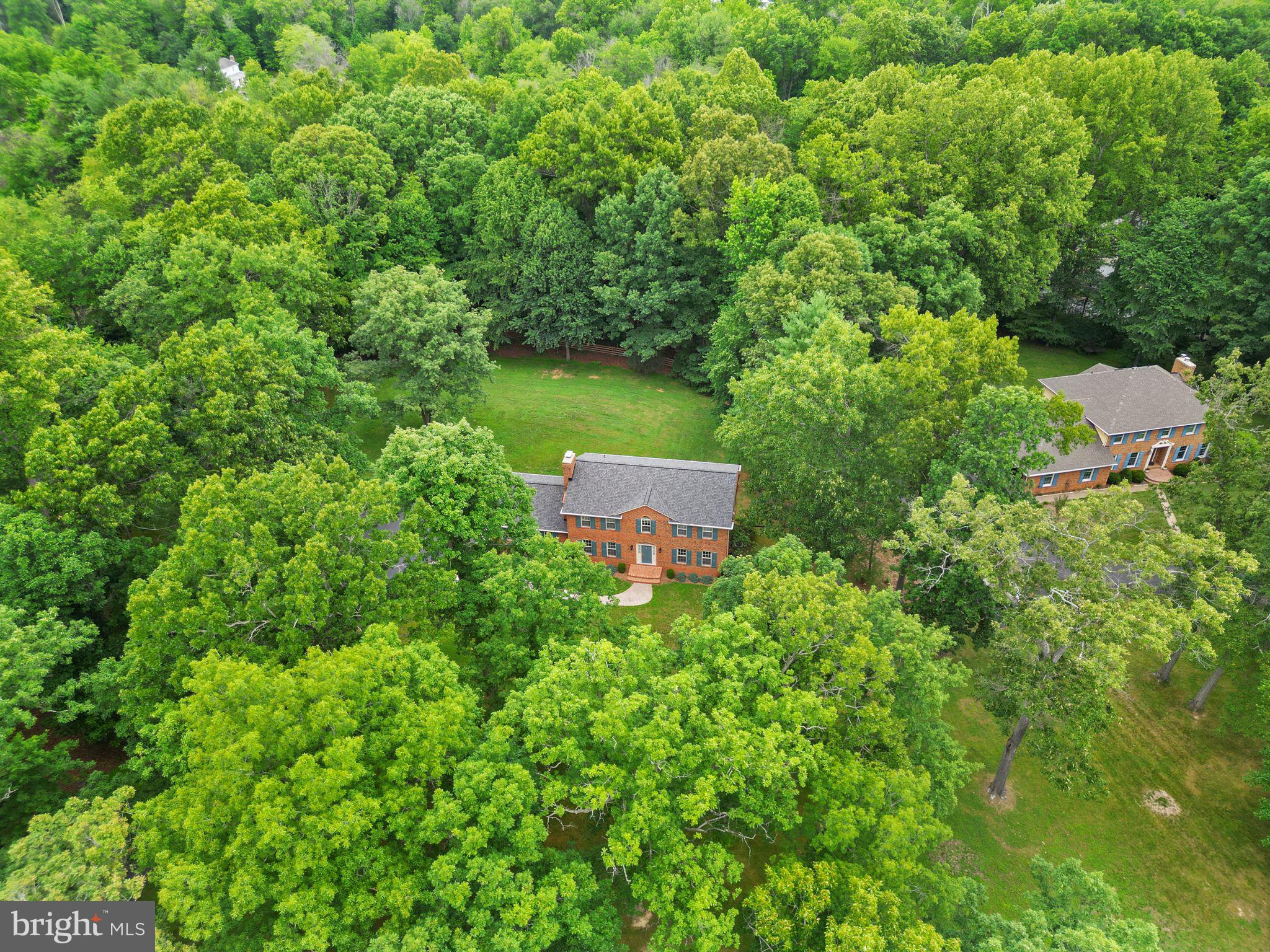 STEEPLECHASE WOODS - Residential