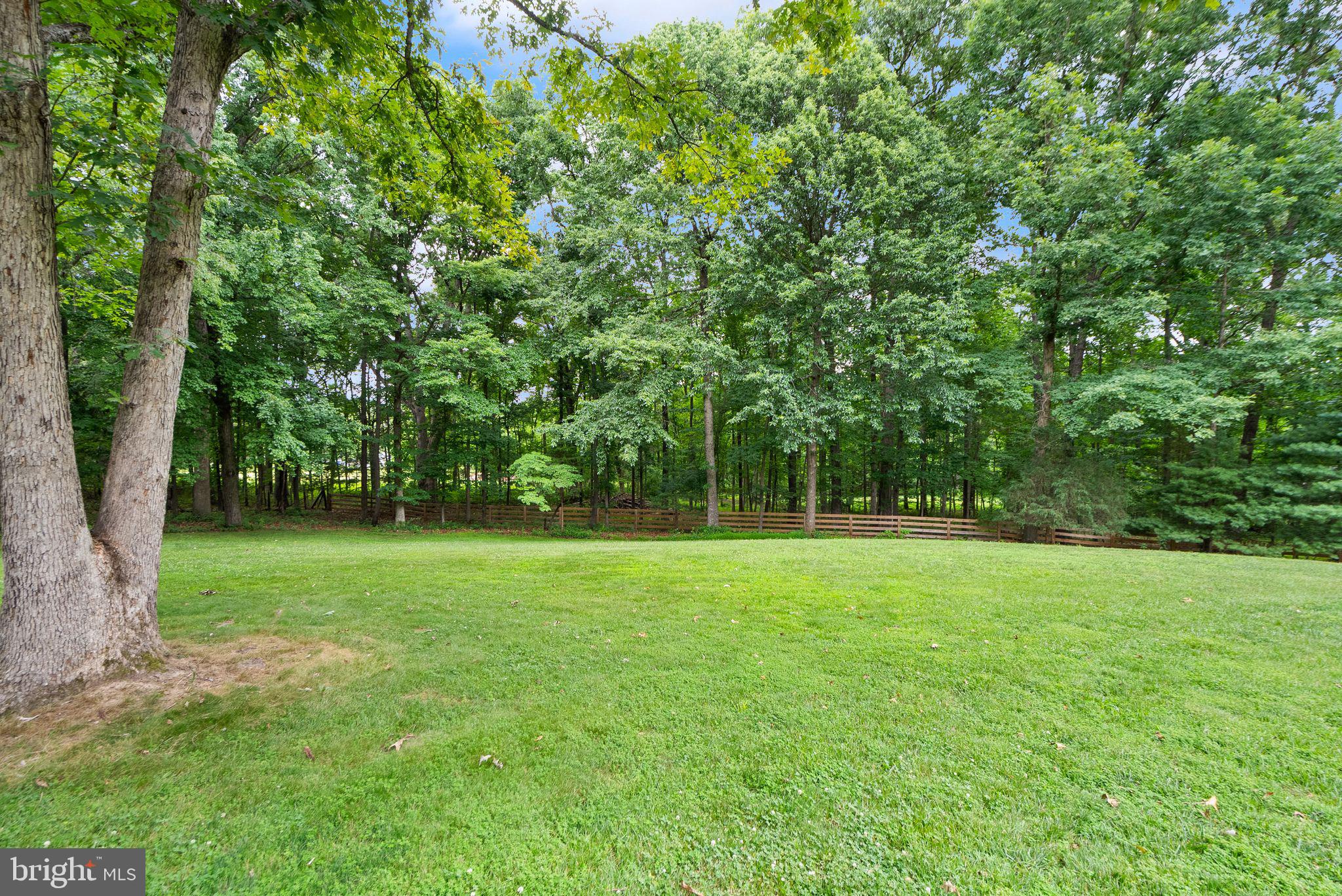 STEEPLECHASE WOODS - Residential