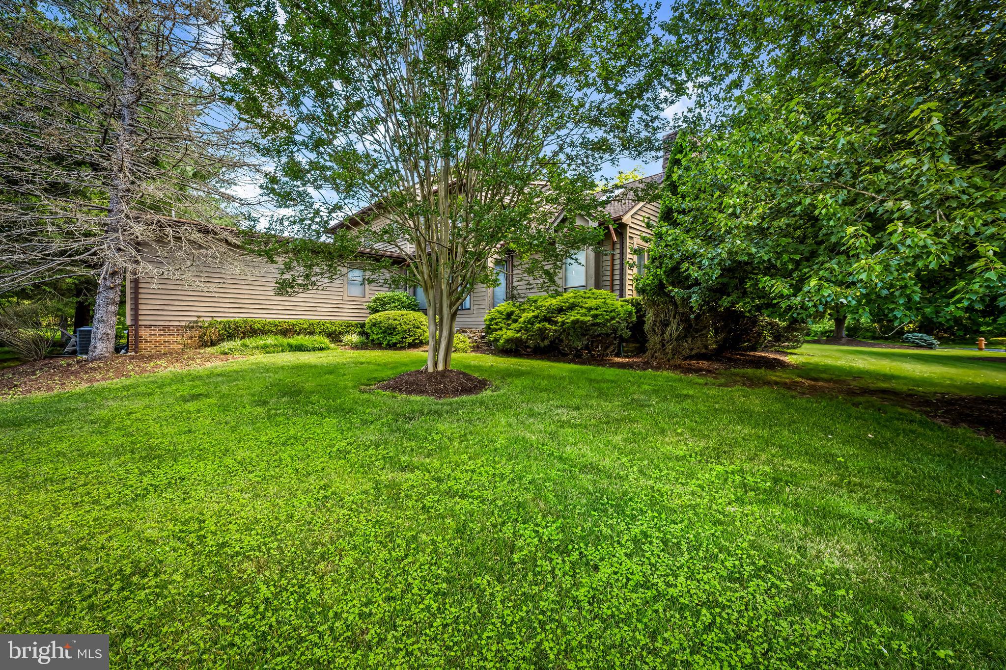 THE MEADOWS OF GREEN SPRING - Residential