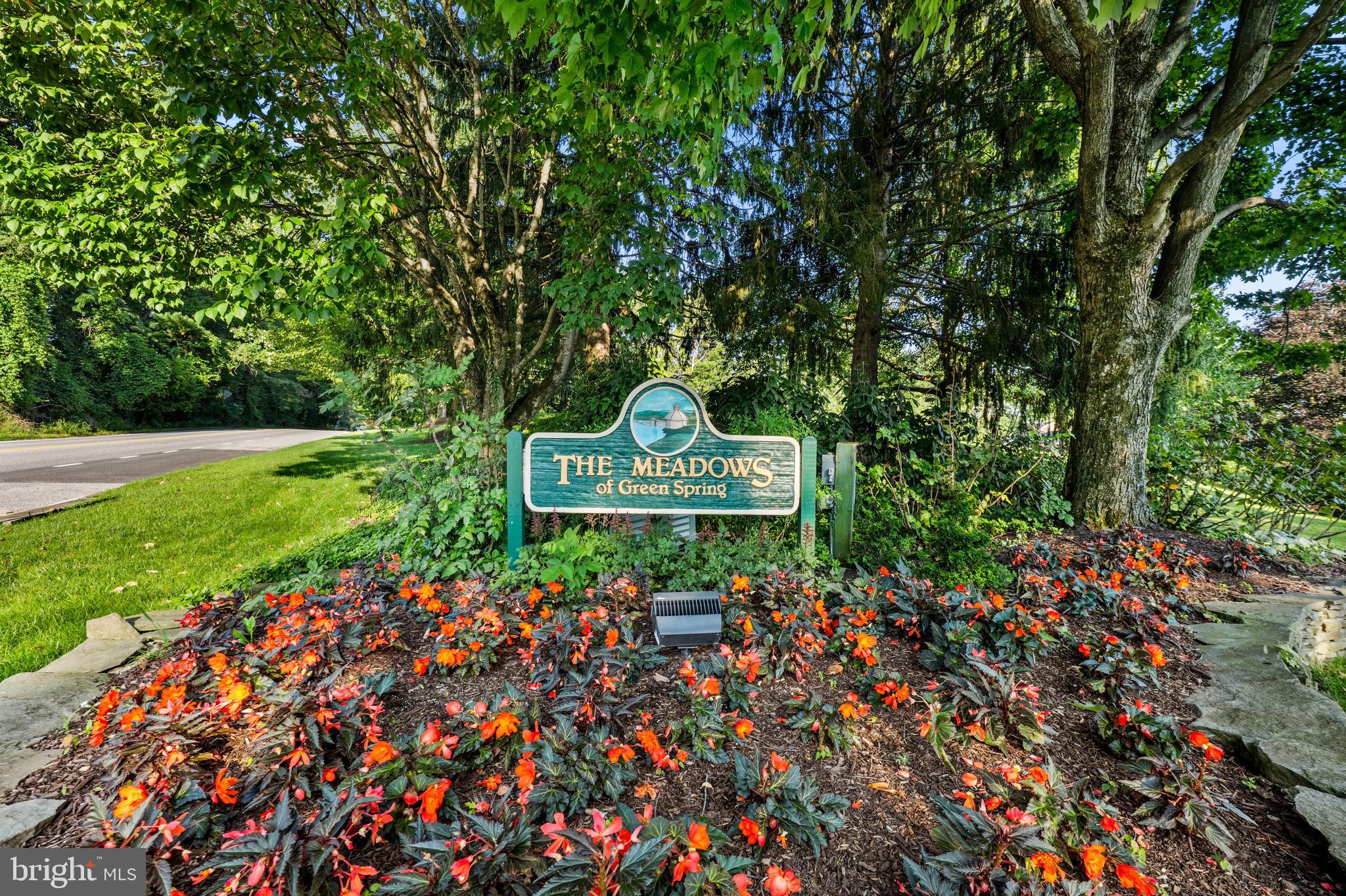 THE MEADOWS OF GREEN SPRING - Residential
