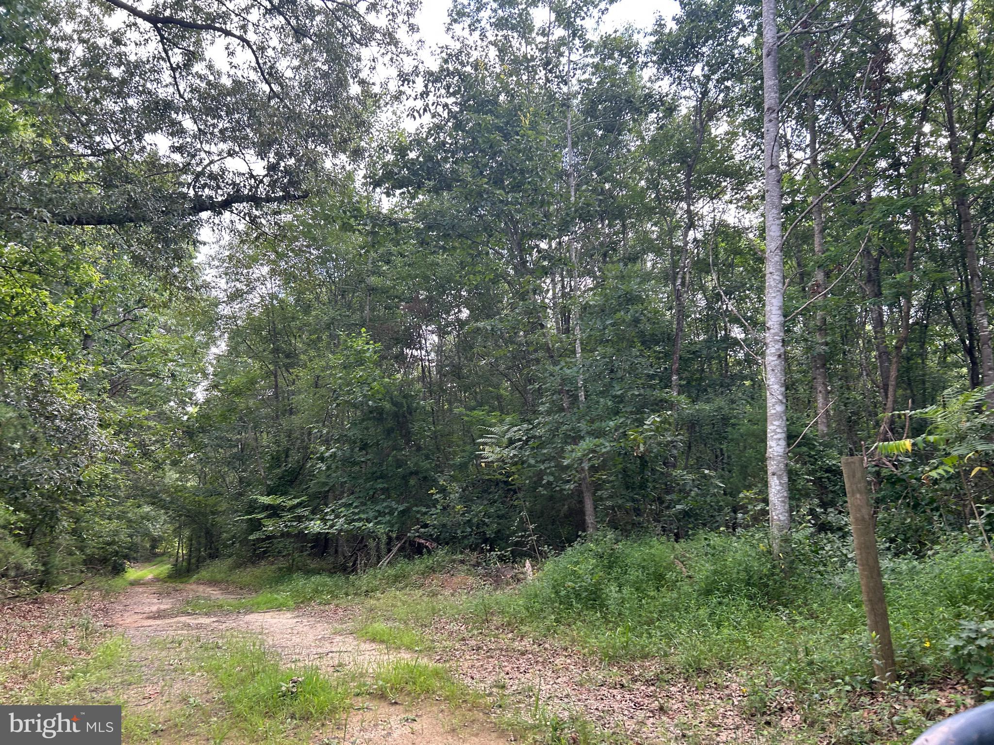 Building lot in a great location, no test done for septic or well, this lot is private and ready for your new home.
EASEMENT ENTRANCE WILL IS DEEDED ON BICKERS LN...