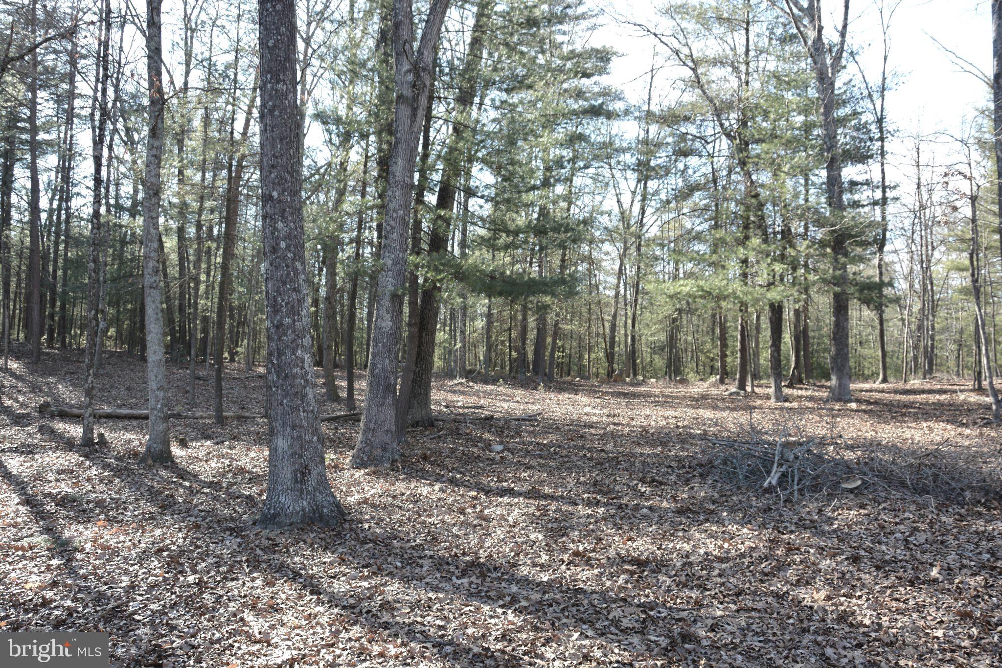 QUAKER WOODS - Residential