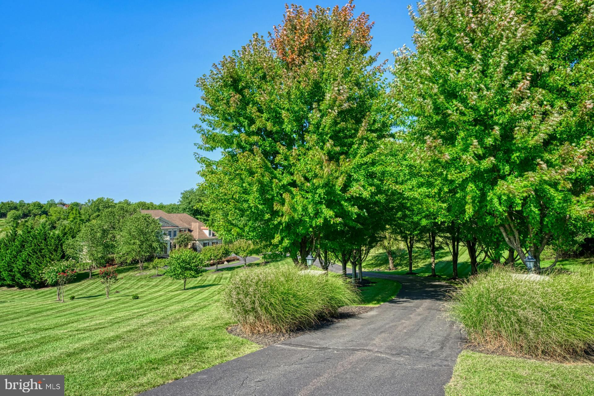 BEACON HILL - Residential