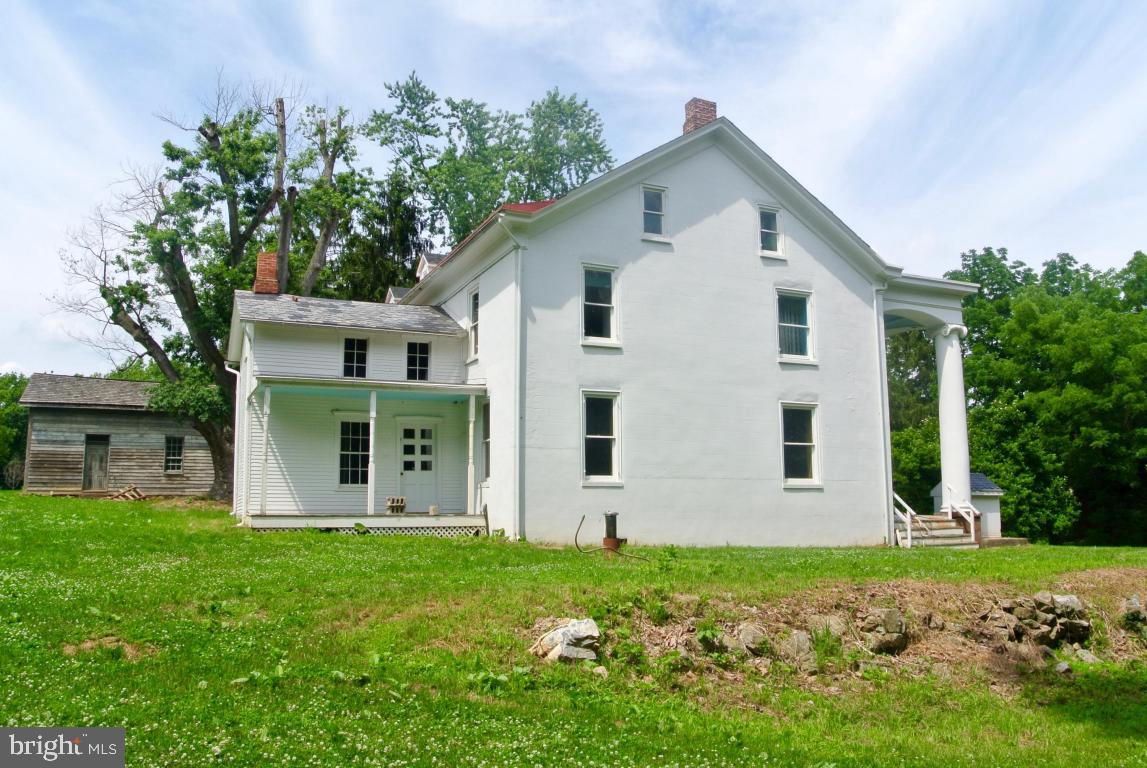 MOUNT JOY - Farm