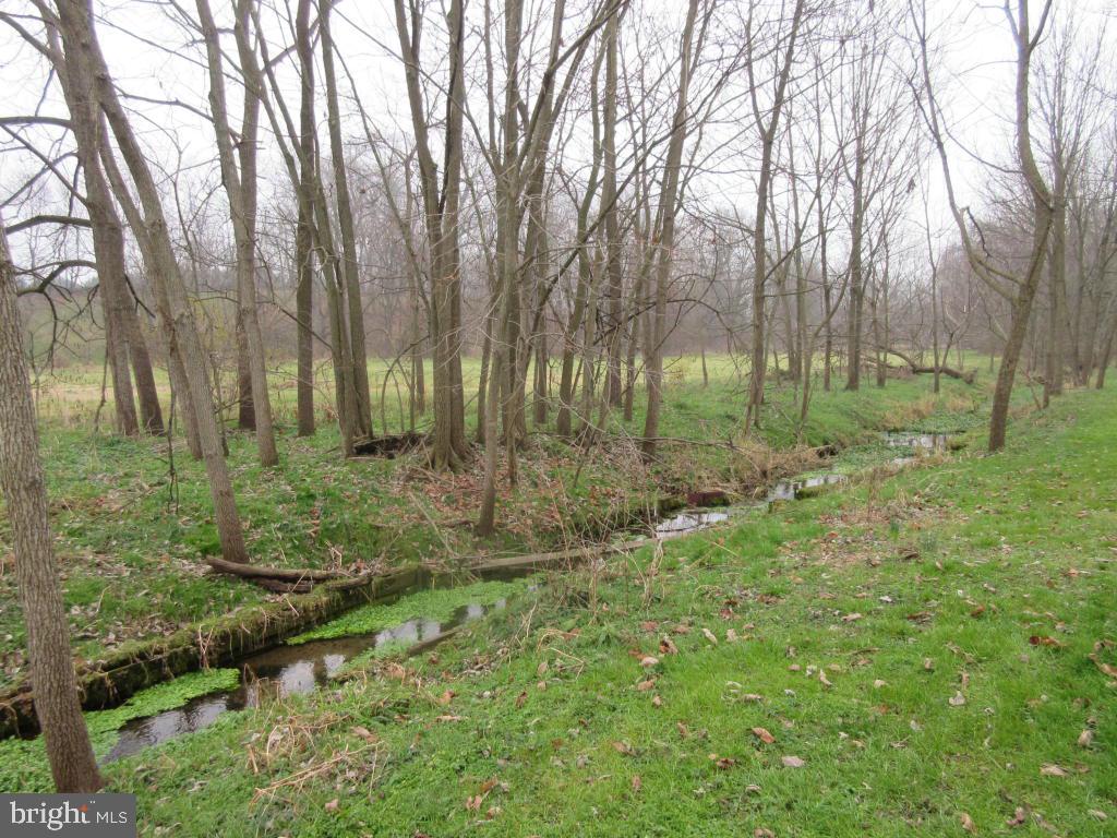 MOUNT JOY - Farm
