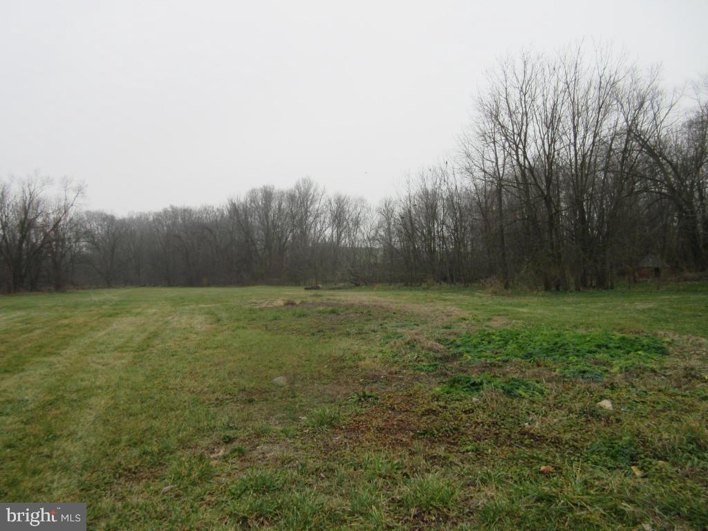 MOUNT JOY - Farm