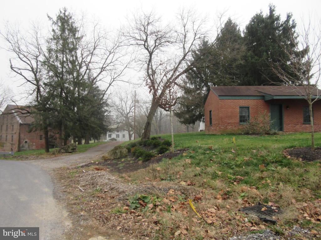 MOUNT JOY - Farm