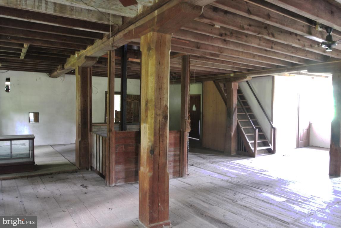 MOUNT JOY - Farm