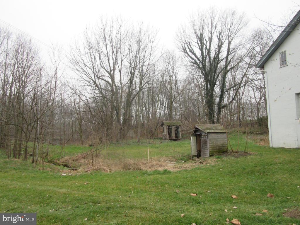MOUNT JOY - Farm