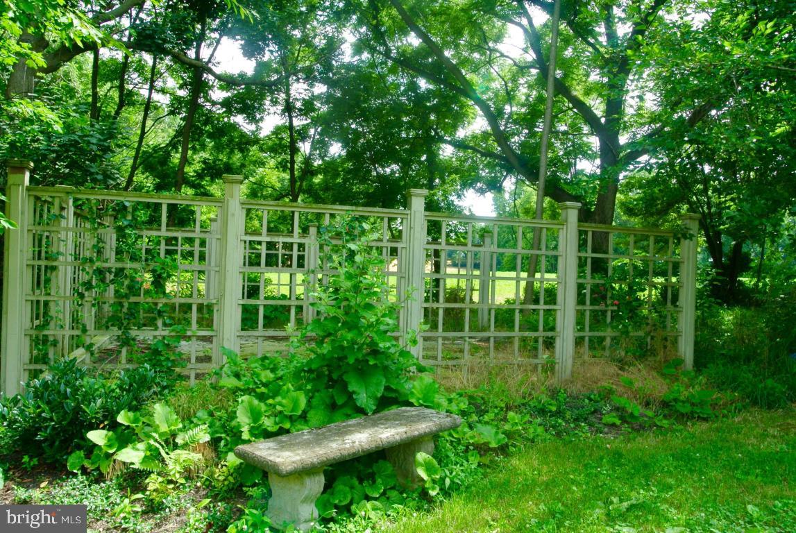 MOUNT JOY - Farm