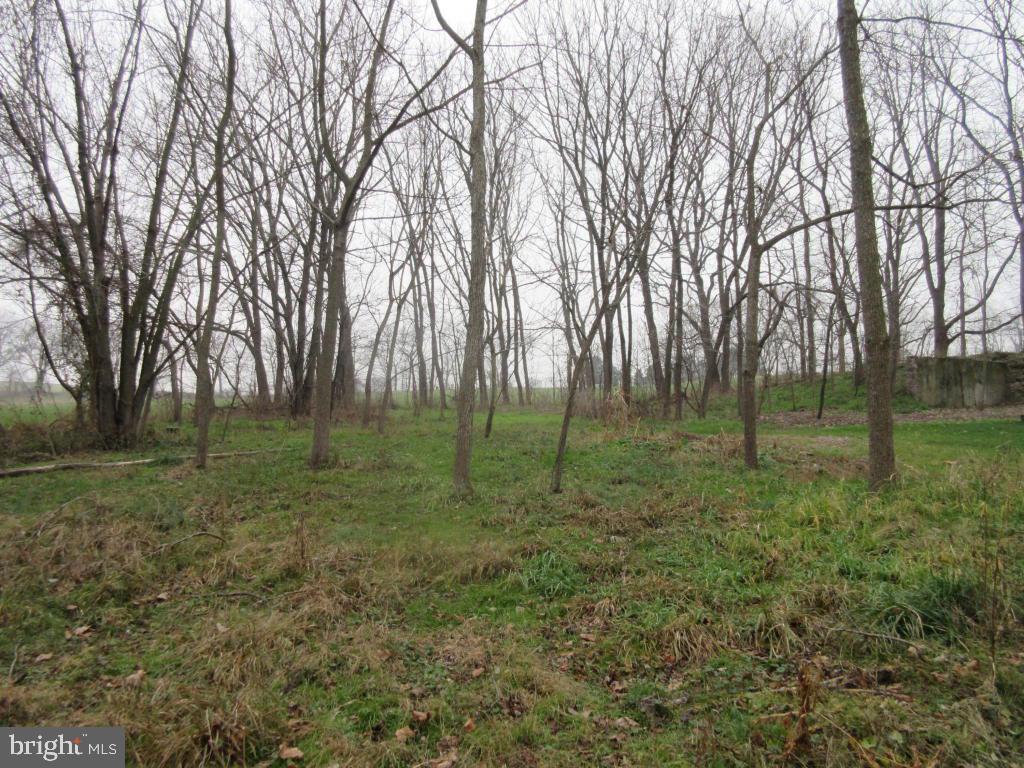 MOUNT JOY - Farm