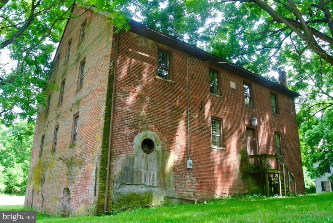MOUNT JOY - Farm