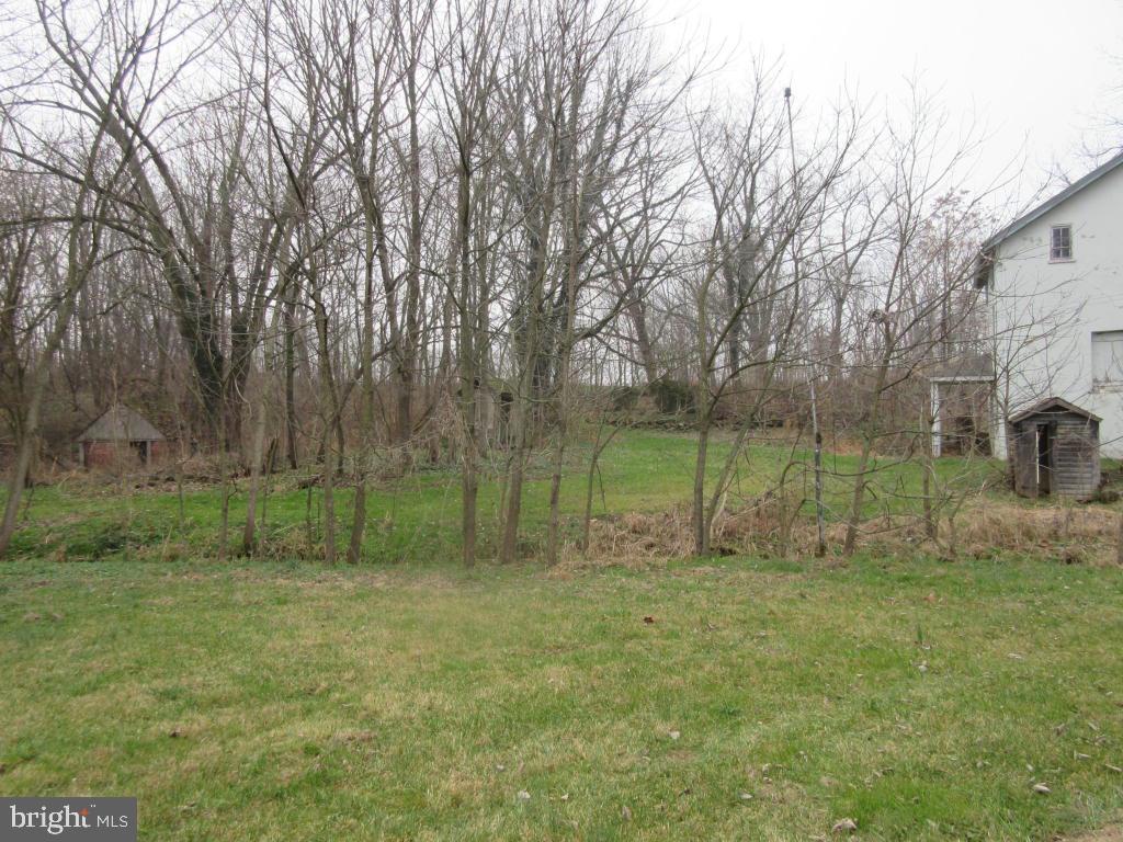 MOUNT JOY - Farm