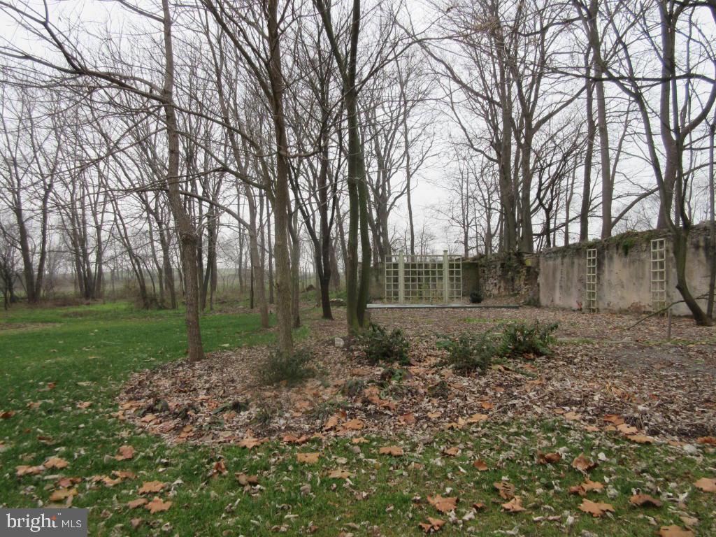 MOUNT JOY - Farm