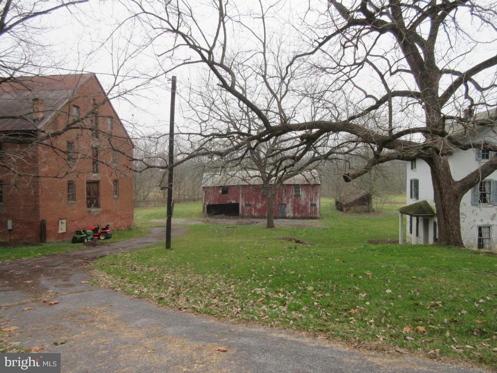 MOUNT JOY - Farm