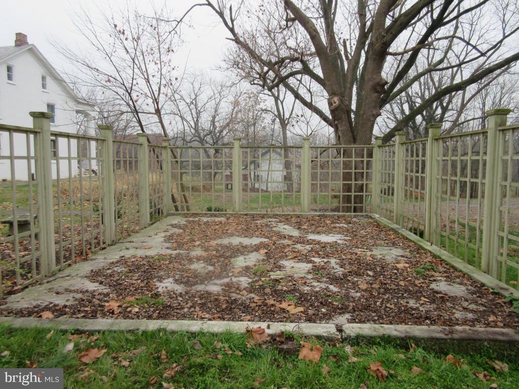 MOUNT JOY - Farm