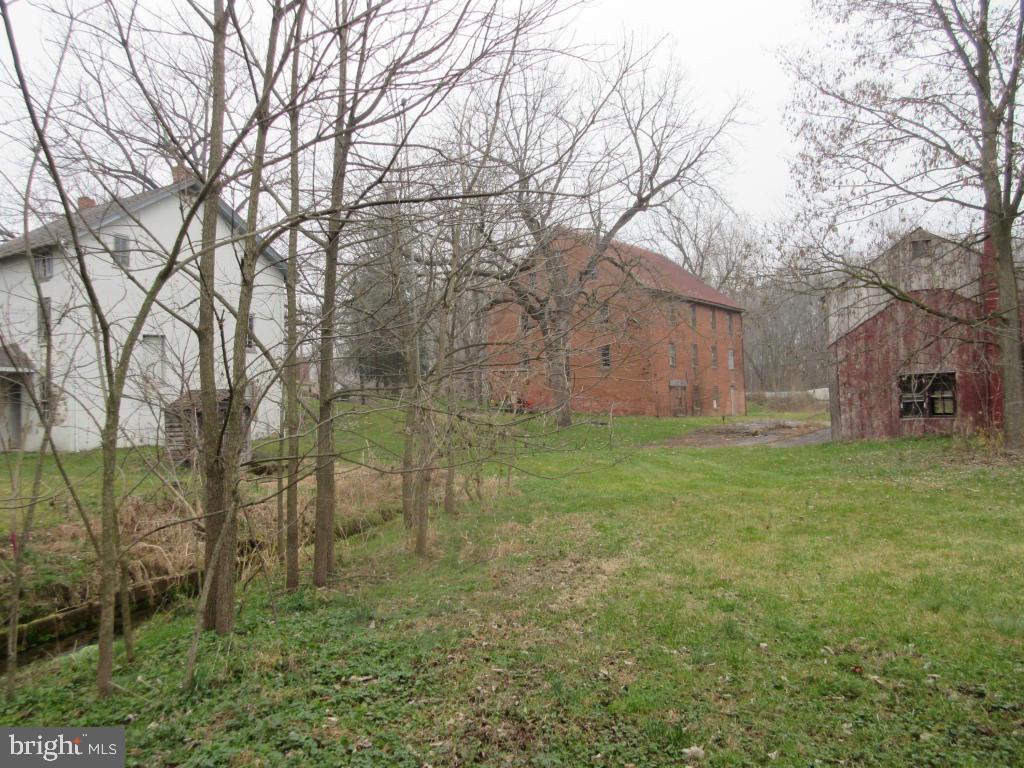MOUNT JOY - Farm