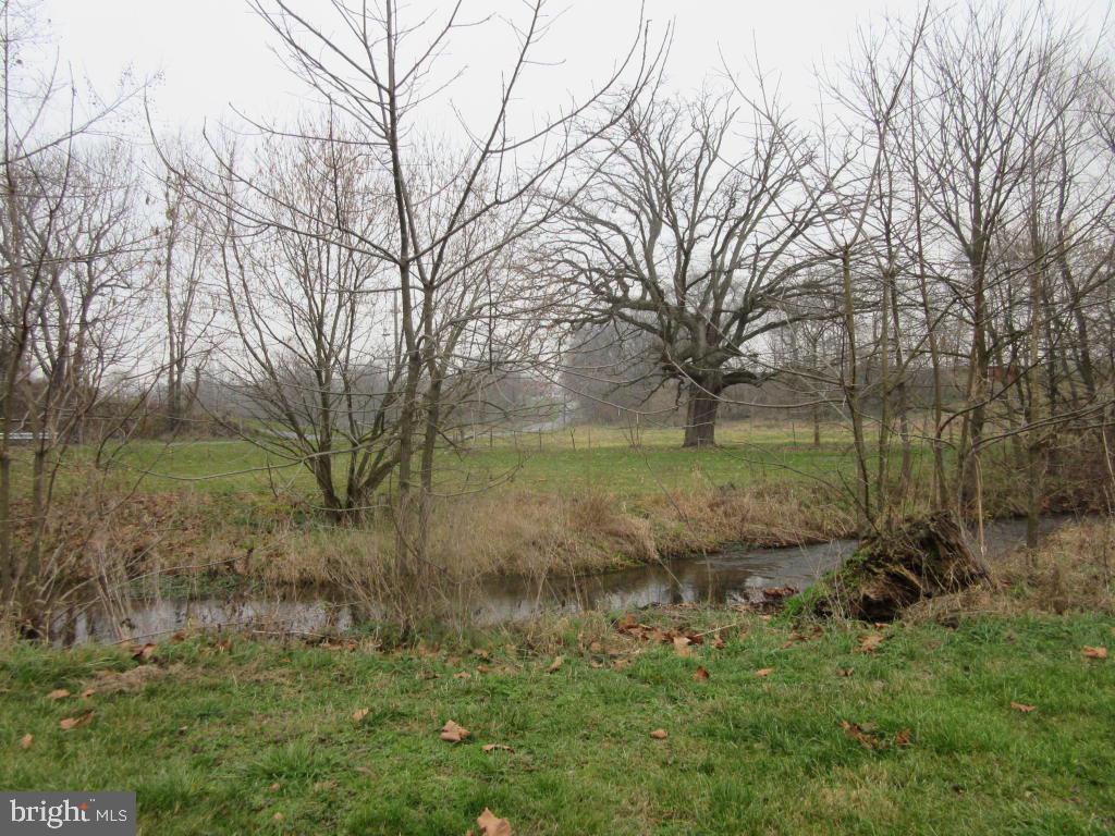 MOUNT JOY - Farm