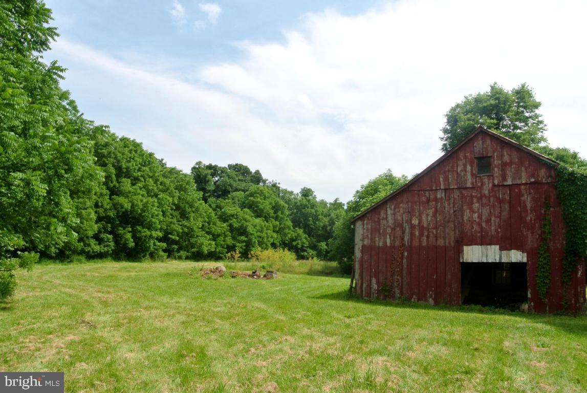 MOUNT JOY - Farm