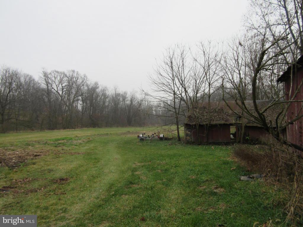 MOUNT JOY - Farm