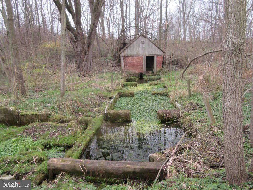 MOUNT JOY - Farm