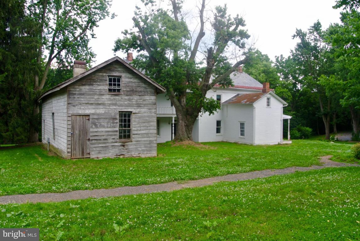 MOUNT JOY - Farm