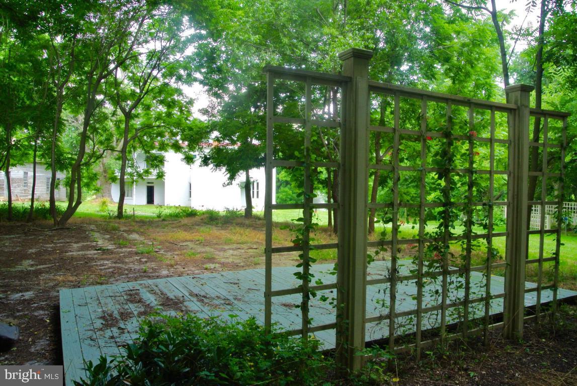 MOUNT JOY - Farm