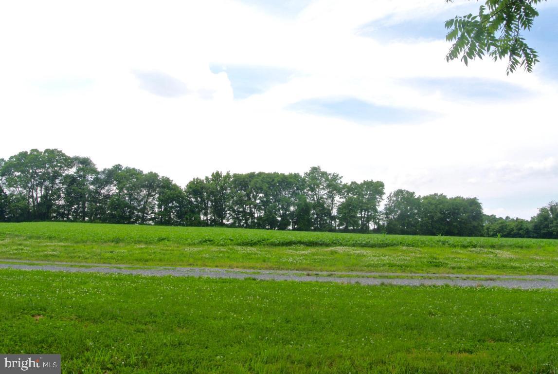 MOUNT JOY - Farm